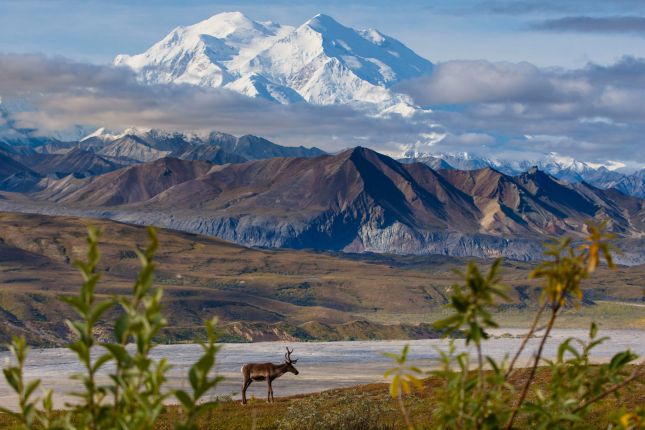 Parc National Et R serve De Denali Alaska